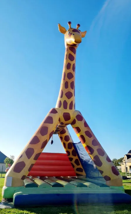 Structure Girafe (20 enfants)